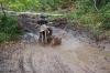 65 cc Class