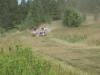a race